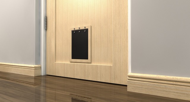 Cat Flap Installation Tulse Hill, West Norwood, SE27