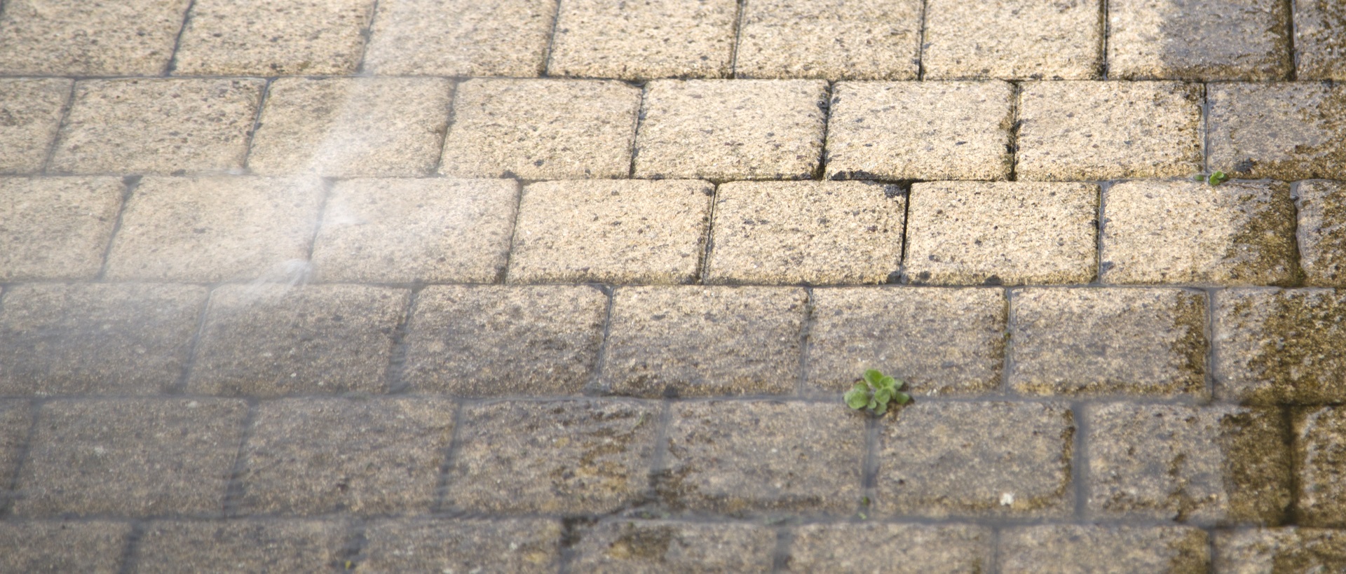 flagging and patios SE27