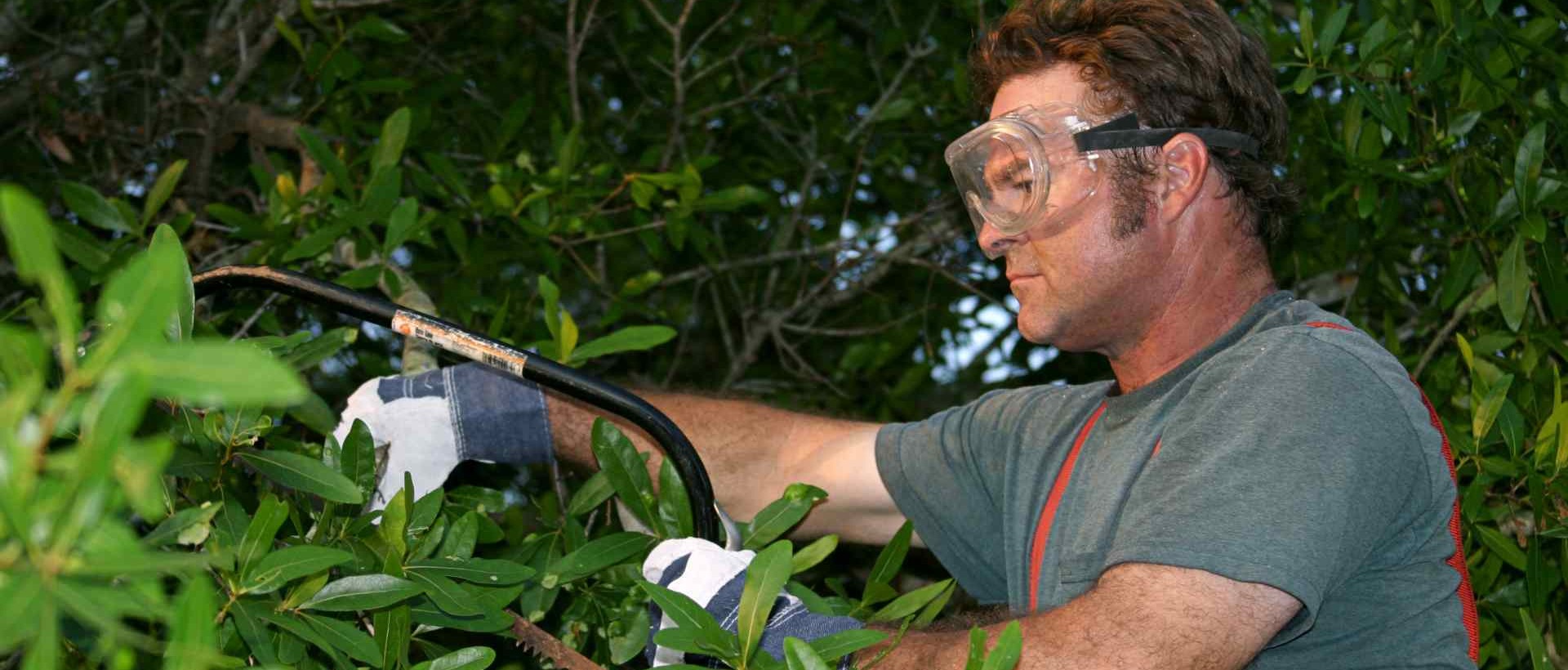 garden clearance SE27